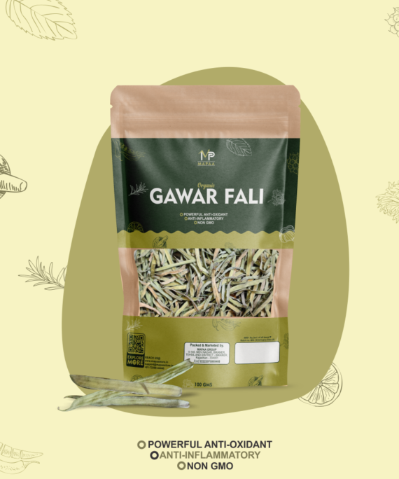 MAPAA's Bikaneri Dry Gawar Fali