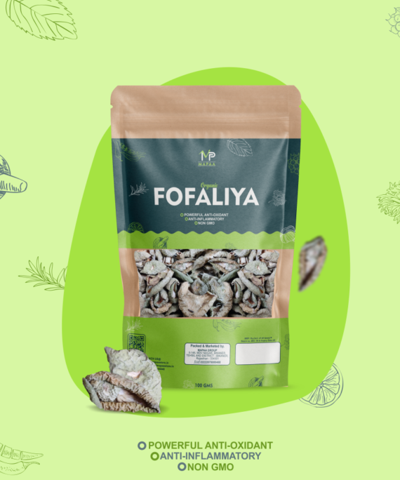 MAPAA's Bikaneri Fofaliya